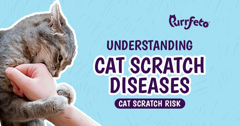 Cat Scratch Disease