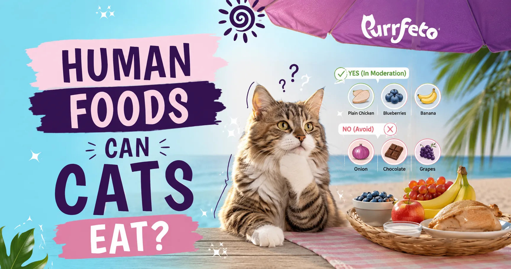 Human Foods Can Cats Eat