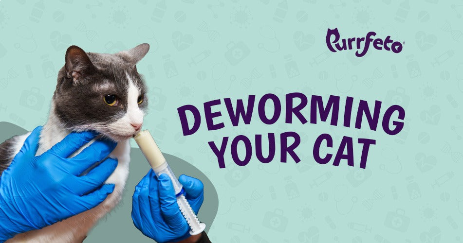 Deworming Your Cat