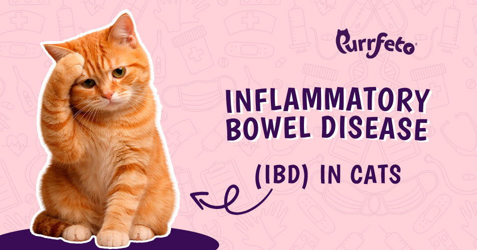 Inflammatory Bowel Disease