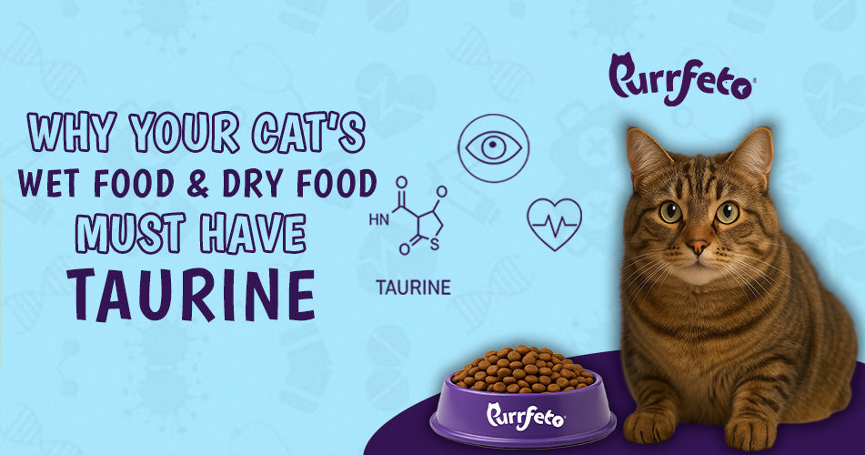 Cat’s Wet and Dry Food Must Have Taurine