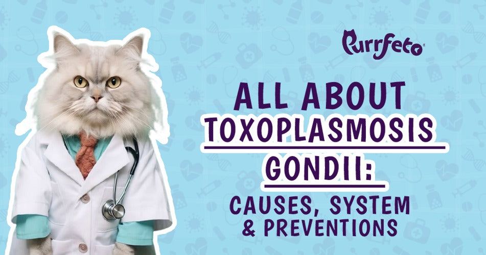 Toxoplasmosis gondii