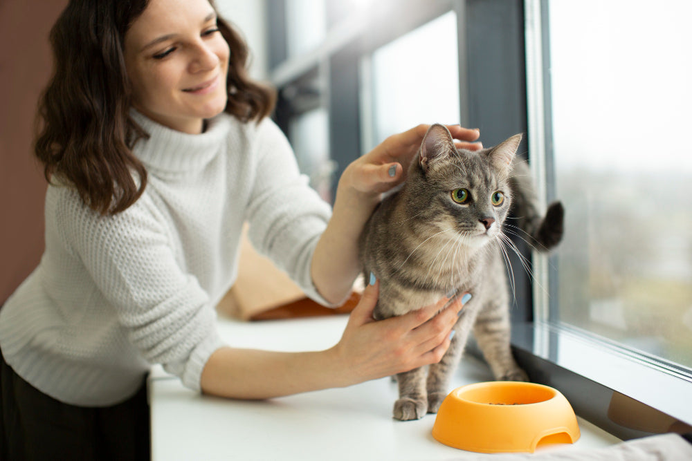 Why Cat Food Beats Home-Cooked Meals—According to Science