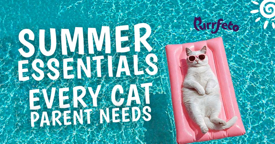Summer Essentials Every Cat Parent Needs