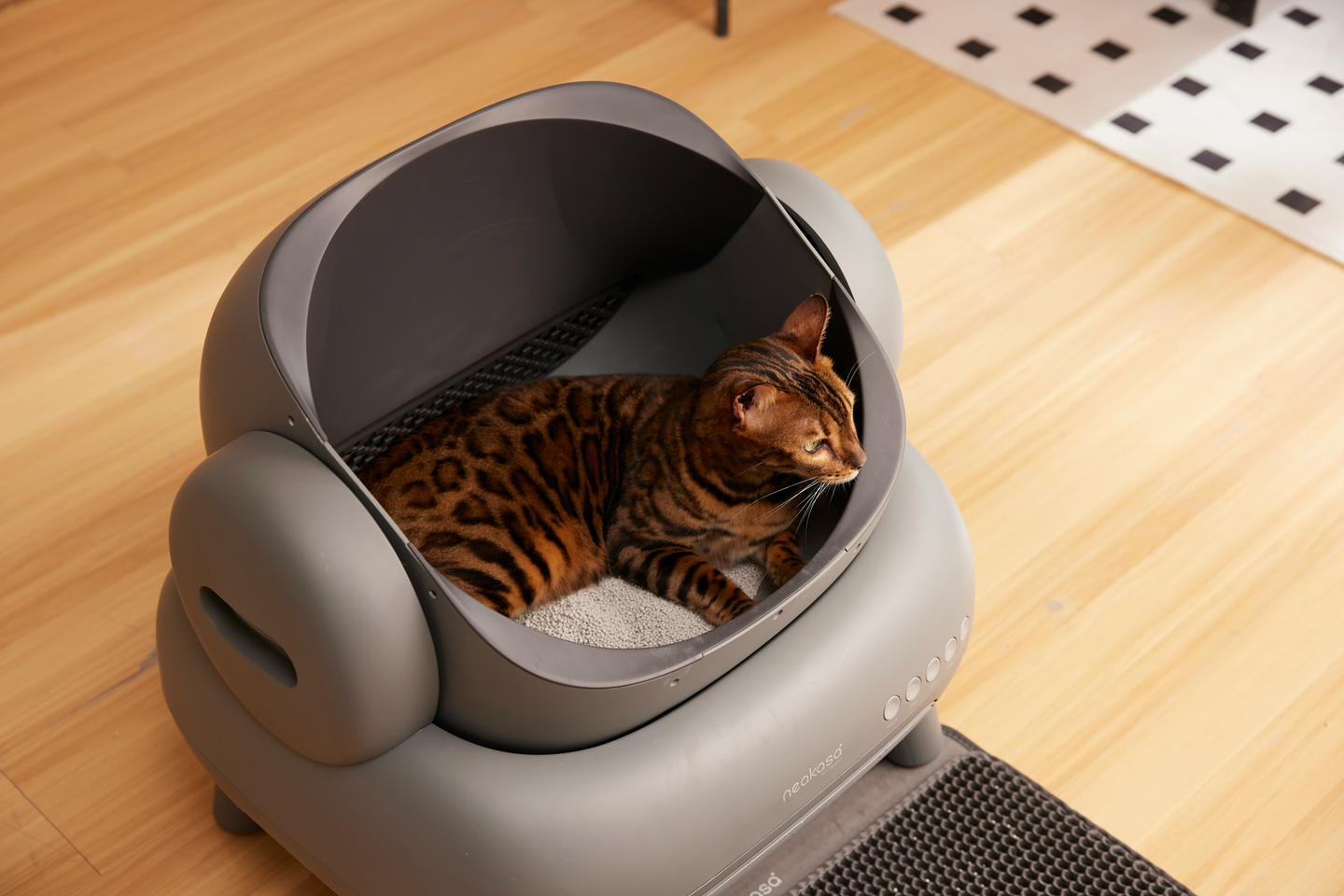 What is FLUTD in Cats: Causes, Symptoms & How Diet Can Reduce Risk by 40%
