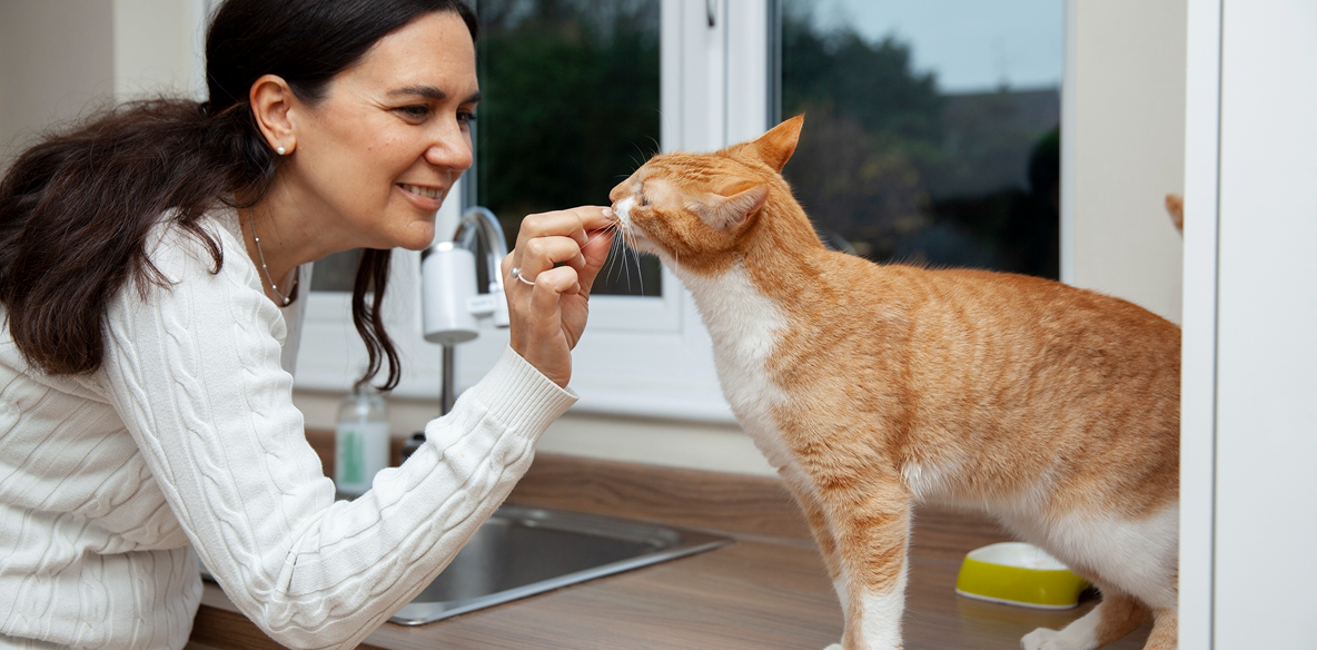 Can Your Cat’s Diet Impact Its Skin? Here’s What You Should Know