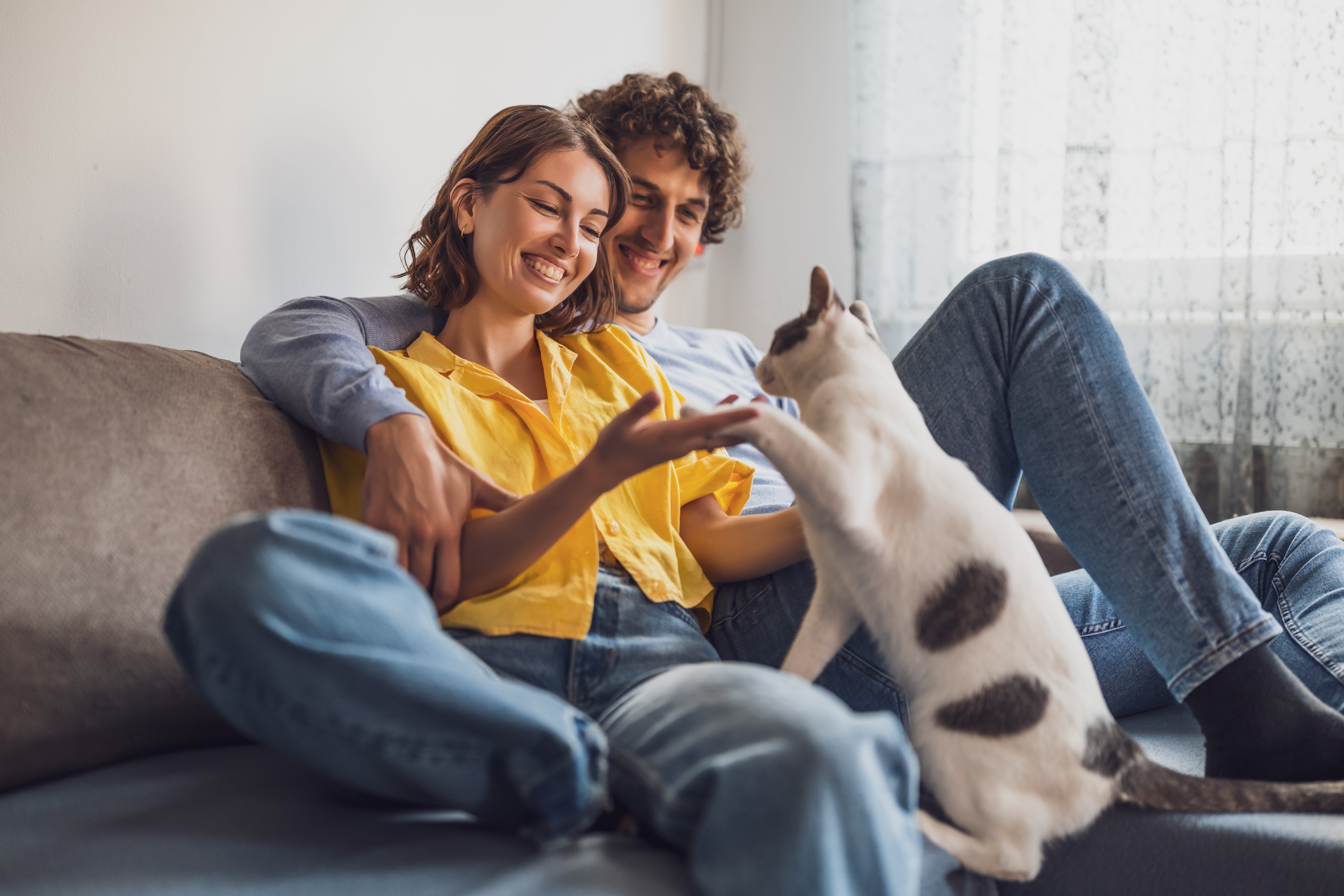 Planning a Cat-Friendly Home? These Simple Tips Make All the Difference