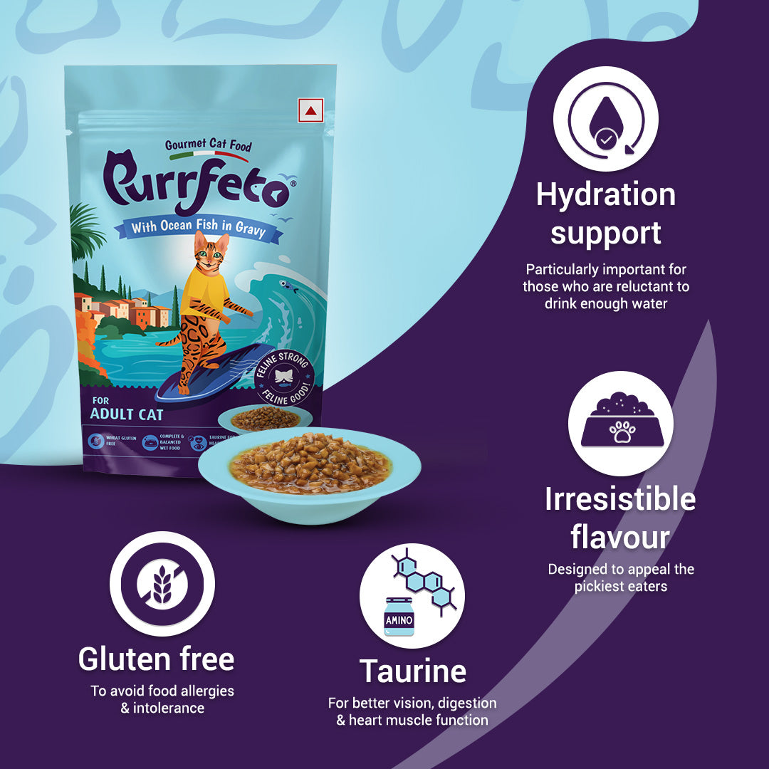 Purrfeto Adult Wet Cat Food with Ocean Fish in Gravy - 80g