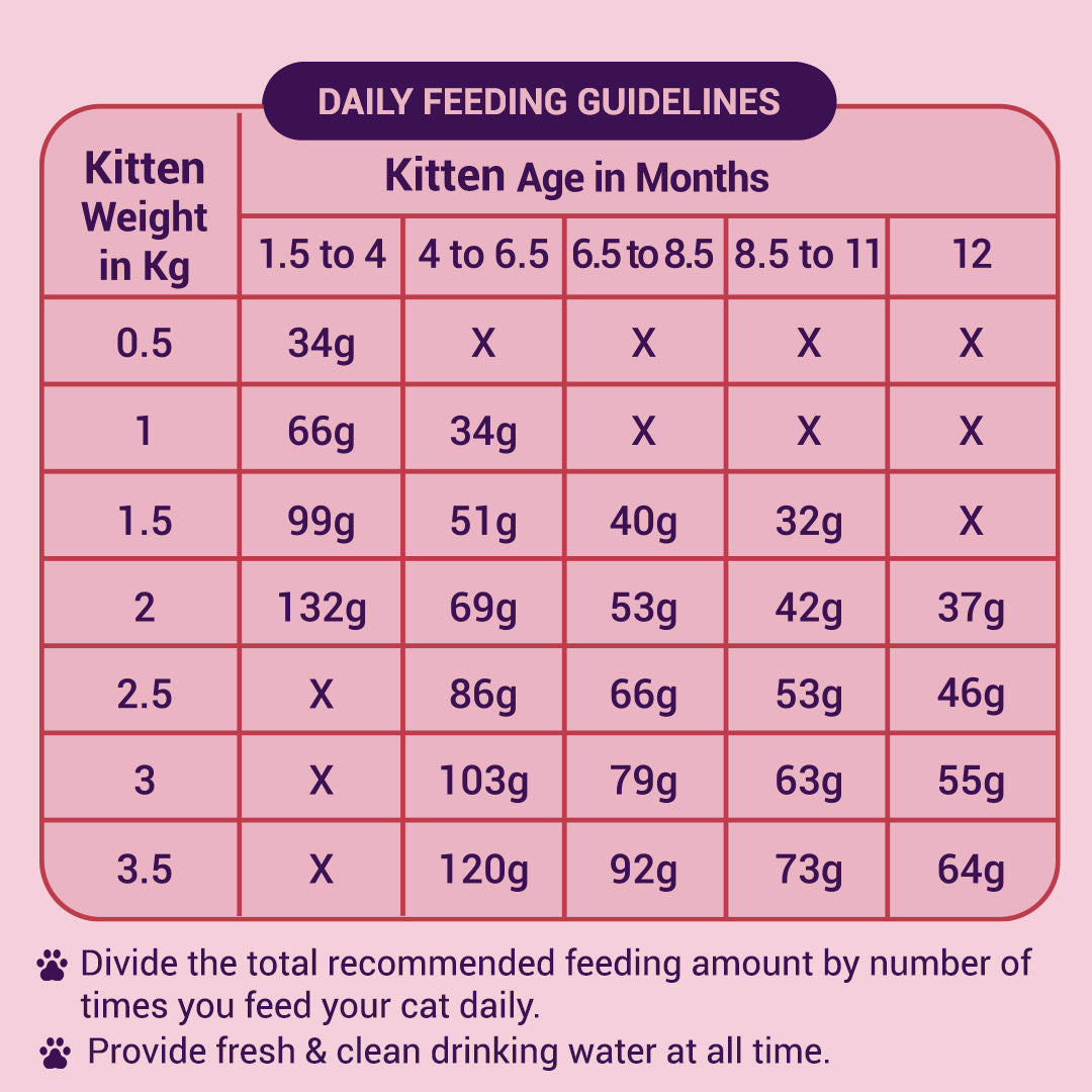 Chicken and Ocean Fish | Kitten Dry Cat Food | 1.2 kg