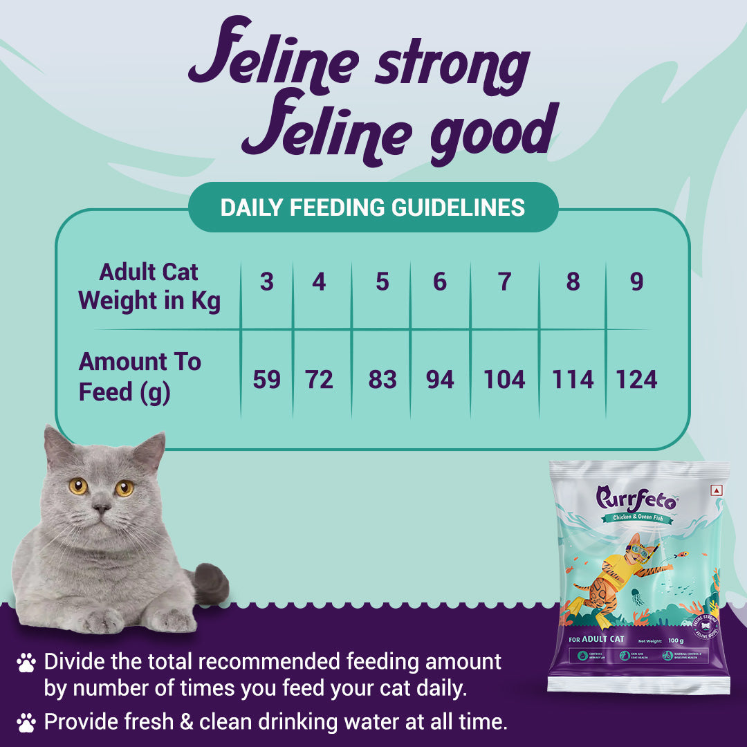 Chicken and Ocean Fish | Adult Dry Cat Food | 1.2 kg