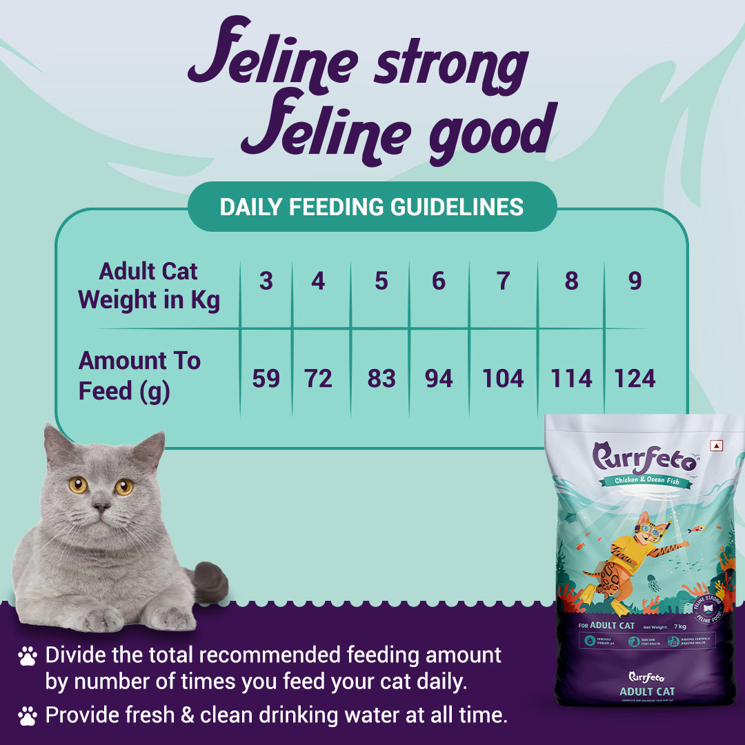 Purrfeto Adult Dry Cat Food with Chicken & Ocean Fish - 100g