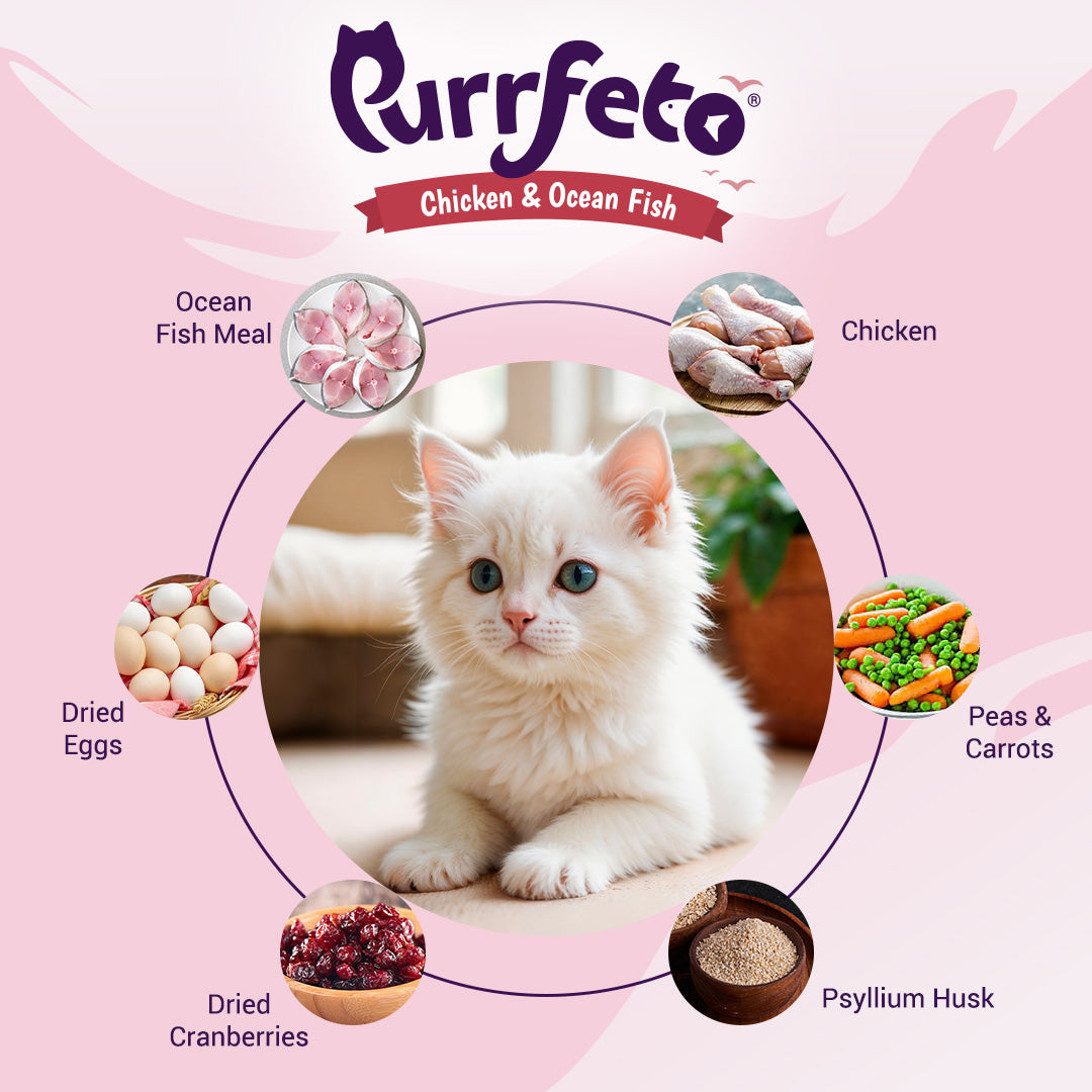 Chicken and Ocean Fish | Kitten Dry Cat Food | 1.2 kg