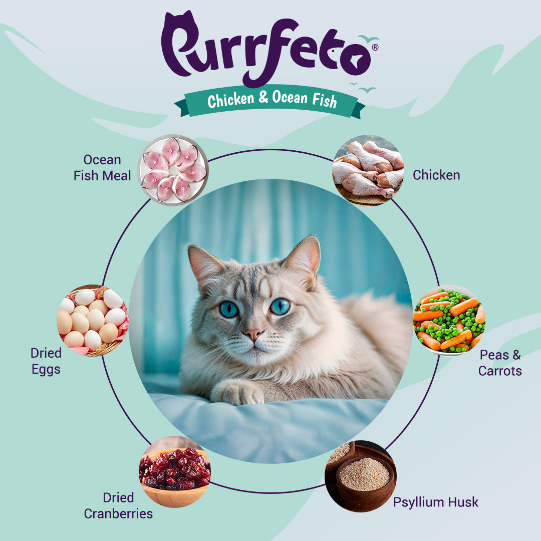 Chicken and Ocean Fish | Adult Dry Cat Food | 1.2 kg