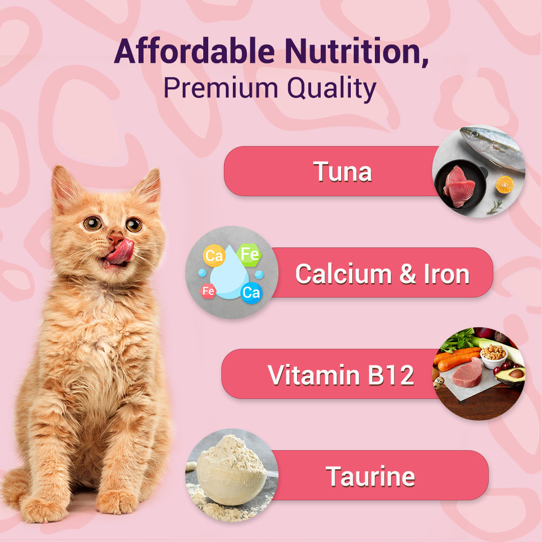 Tuna Platter In Jelly | Adult Wet Cat Food | 80g