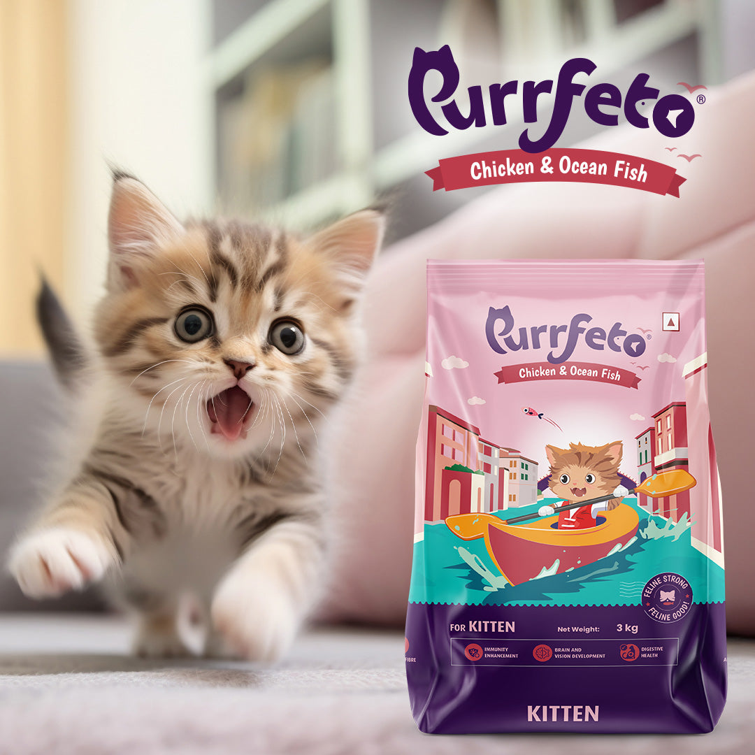 Purrfeto Dry Cat Food for Kitten with Chicken & Ocean Fish - 3kg
