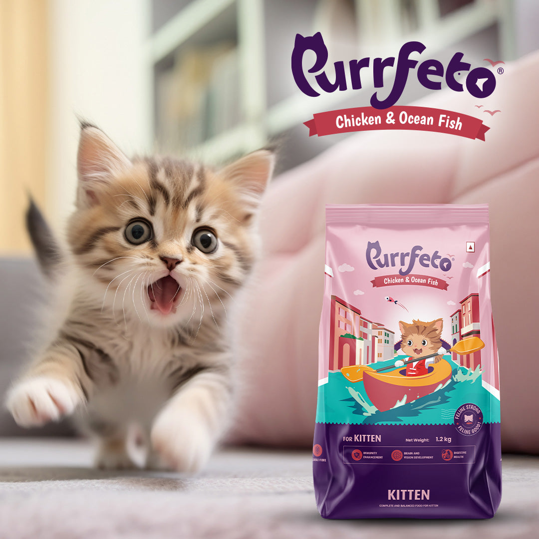 Purrfeto Dry Cat Food for Kitten with Chicken & Ocean Fish - 1.2kg