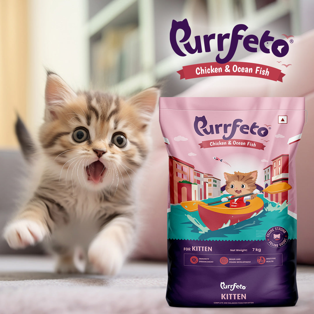 Purrfeto Dry Cat Food for Kitten with Chicken & Ocean Fish - 7kg