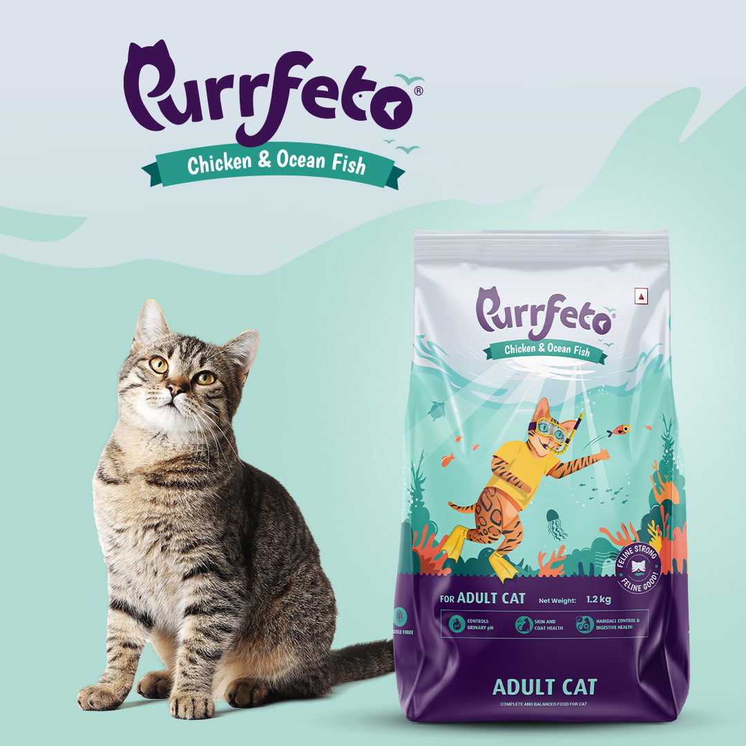 Purrfeto Adult Dry Cat Food with Chicken & Ocean Fish - 1.2kg