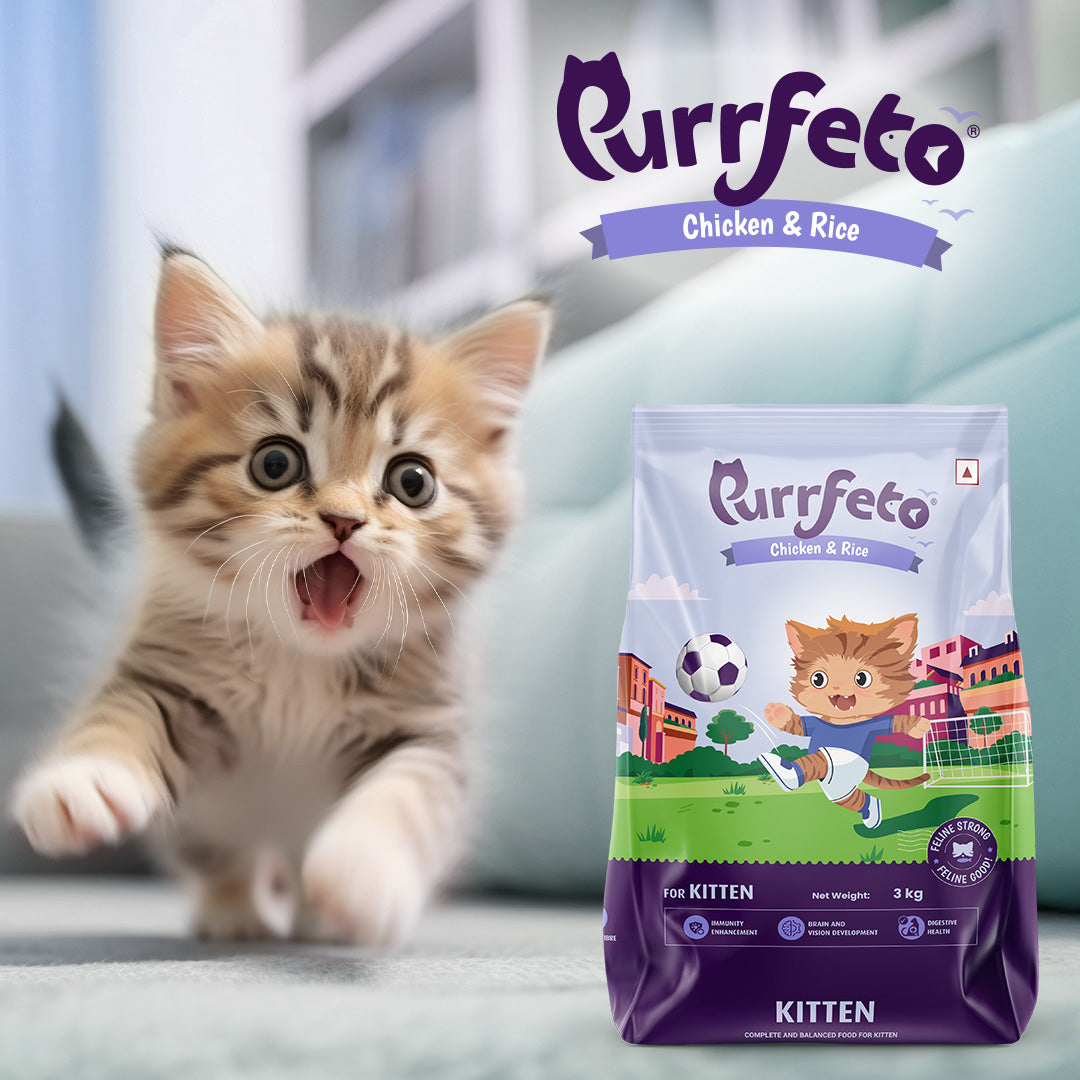 Purrfeto Dry Cat Food for Kitten with Chicken & Rice - 3kg