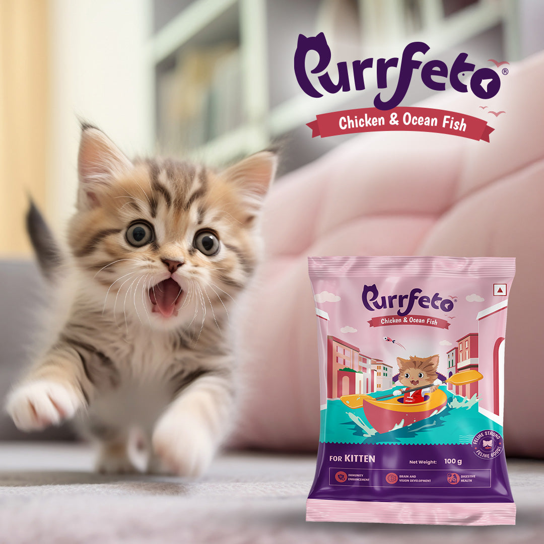 Chicken and Ocean Fish | Kitten Dry Cat Food | 1.2 kg
