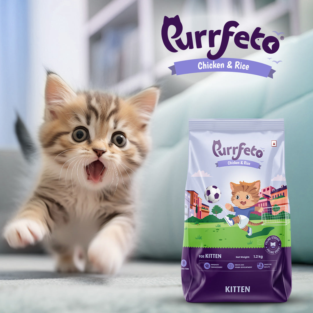 Purrfeto Dry Cat Food for Kitten with Chicken & Rice - 1.2kg