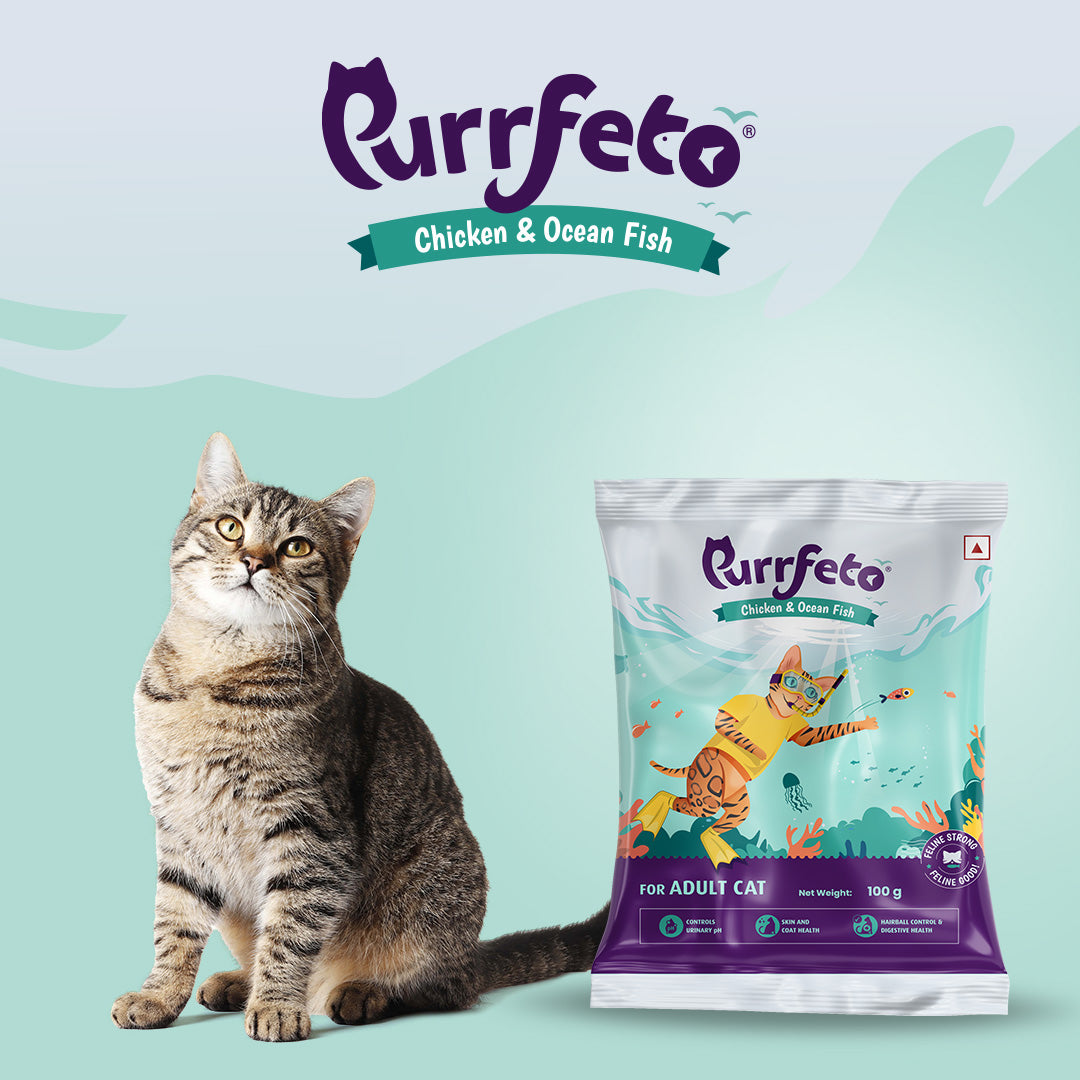 Chicken and Ocean Fish | Adult Dry Cat Food | 1.2 kg