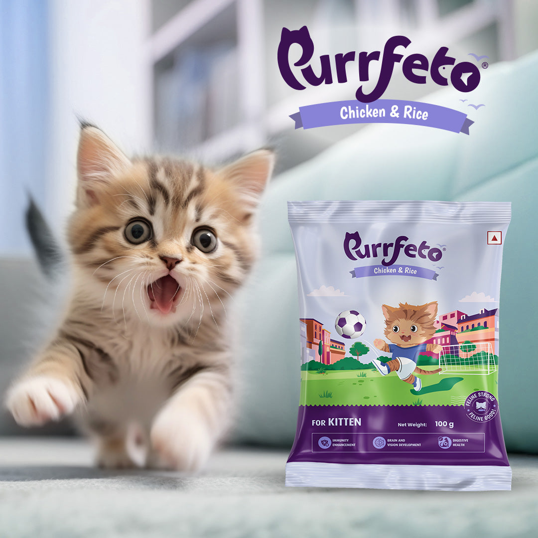 Purrfeto Dry Cat Food for Kitten with Chicken & Rice - 100g