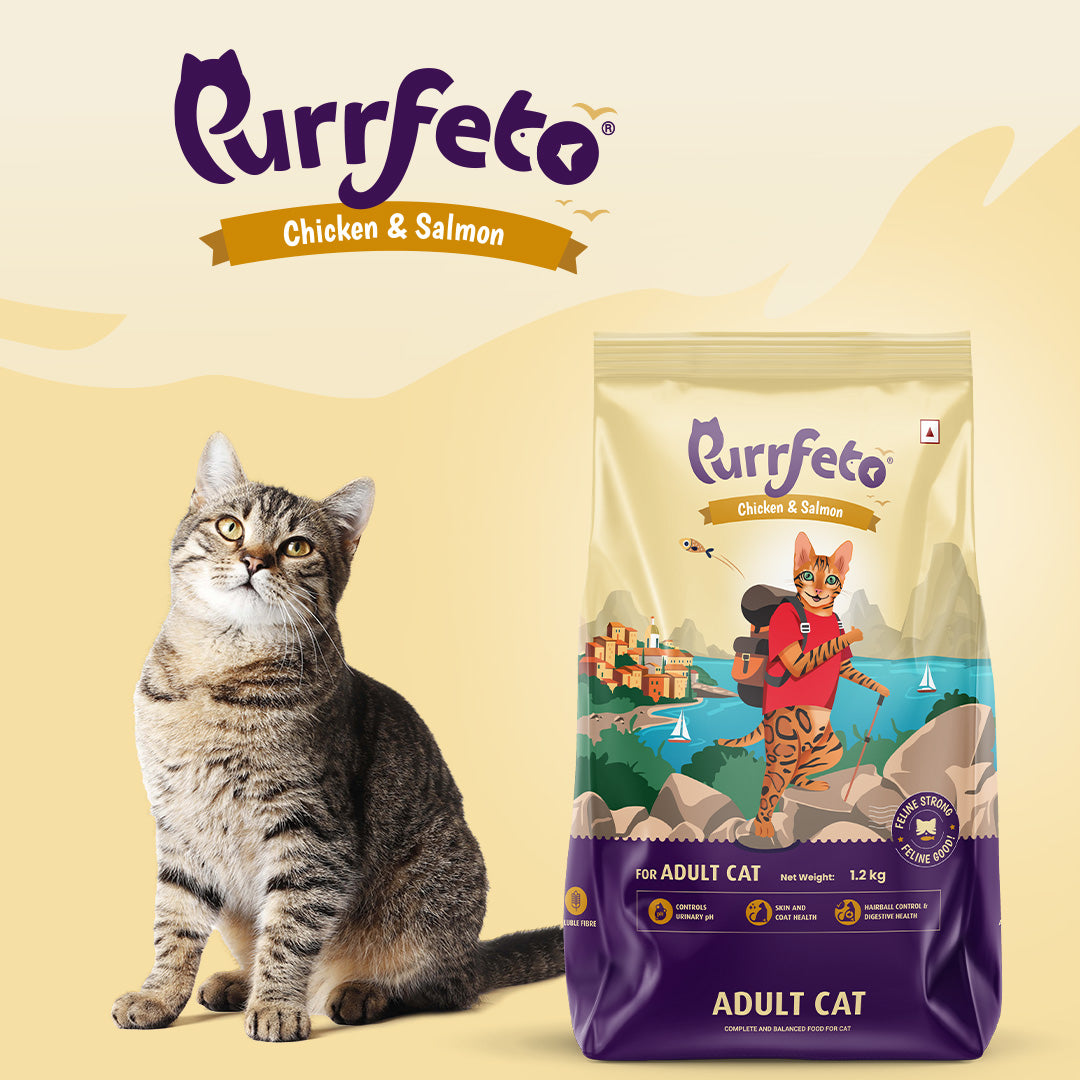 Purrfeto Adult Dry Cat Food with Chicken & Salmon - 1.2kg