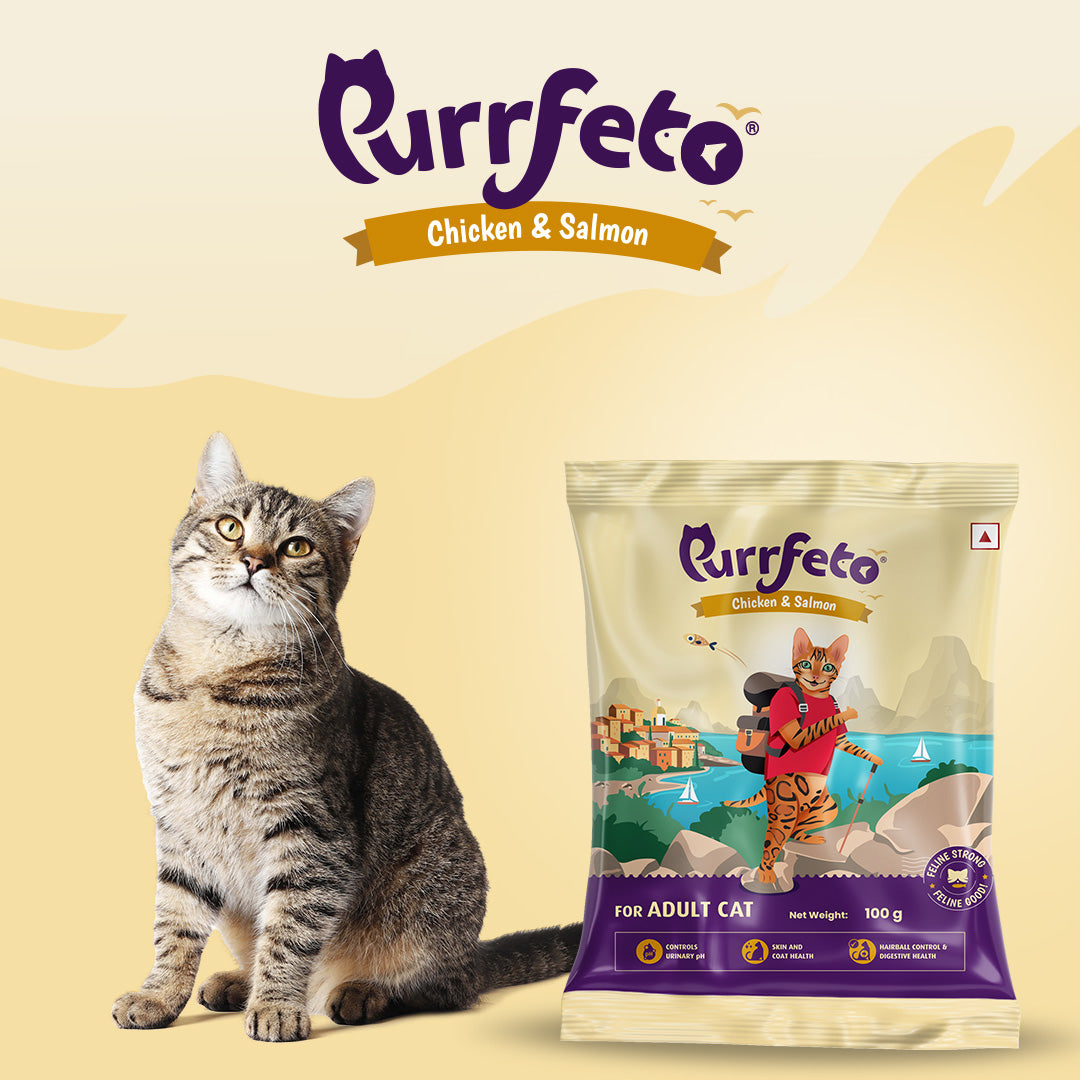 Purrfeto Adult Dry Cat Food with Chicken & Salmon - 100g