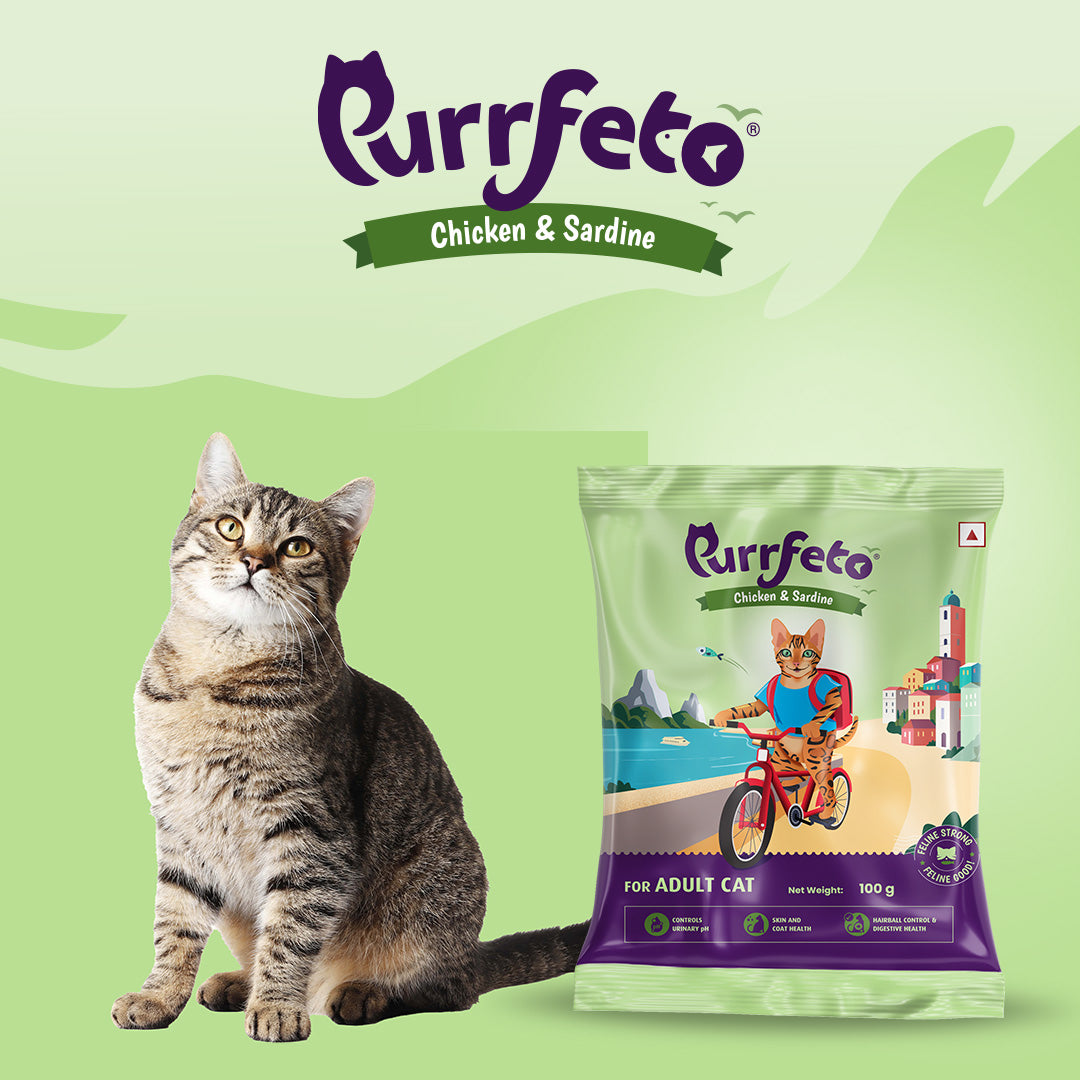Purrfeto Adult Dry Cat Food with Chicken & Sardine - 100g