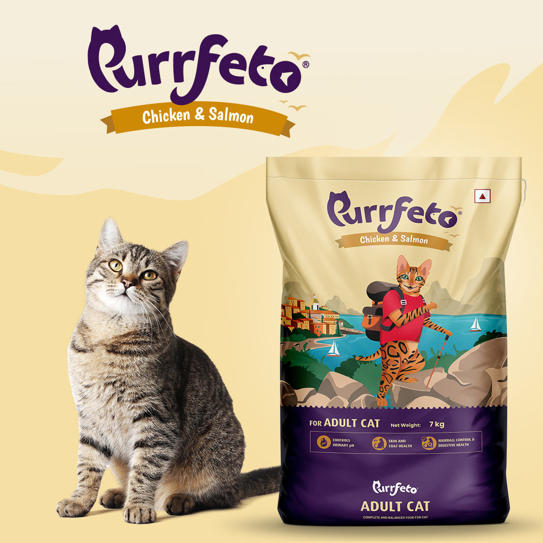 Chicken and Salmon | Adult Dry Cat Food | 100g