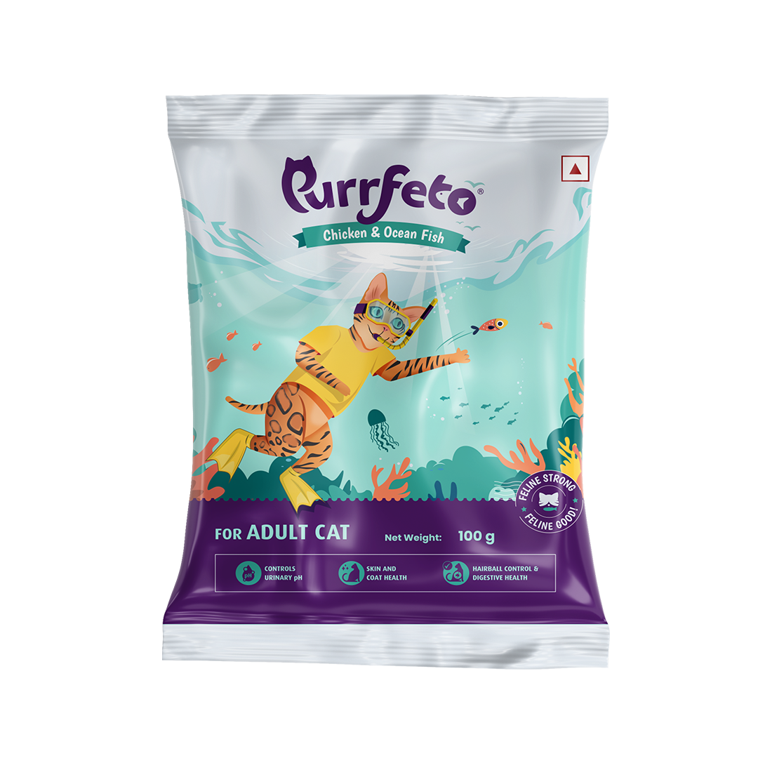 Purrfeto Adult Dry Cat Food with Chicken & Ocean Fish - 100g