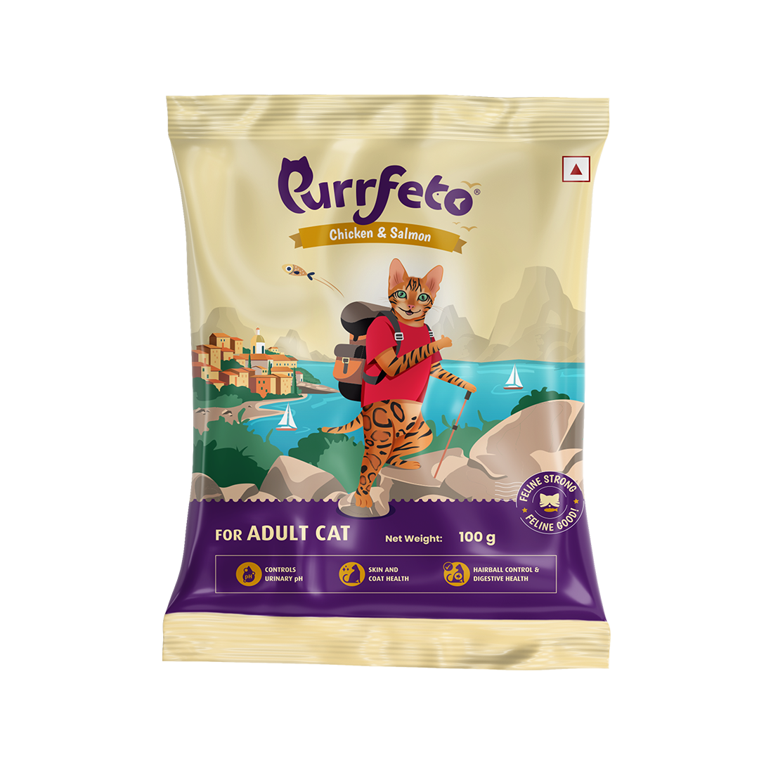 Purrfeto Adult Dry Cat Food with Chicken & Salmon - 100g
