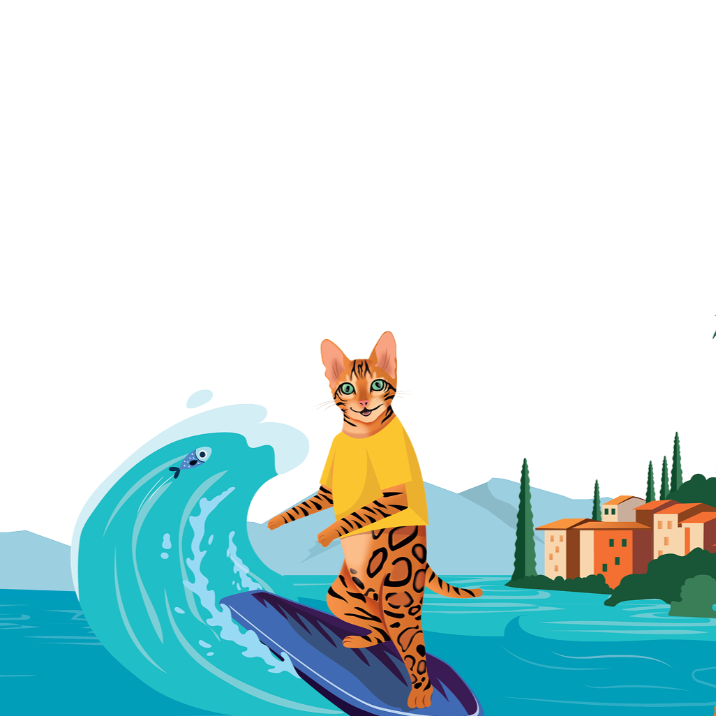 The Cat as a Curious Traveller